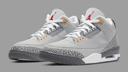 Jordan 3 Retro Cool Grey 2021 Sneakers - Collector's Edition
