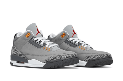Jordan 3 Retro Cool Grey 2021 Sneakers - Collector's Edition